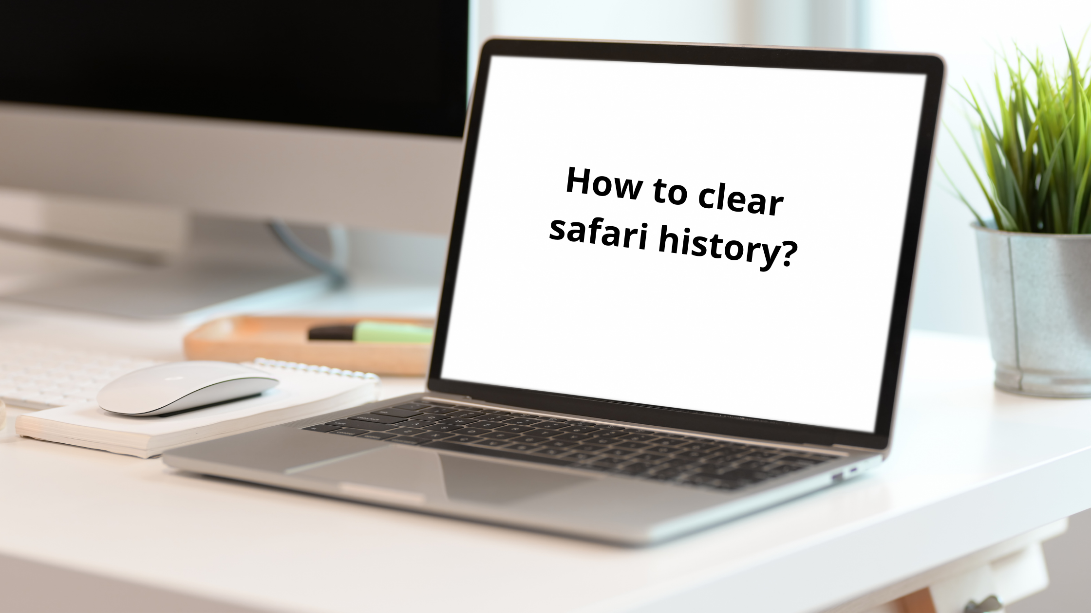 How to clear safari history?